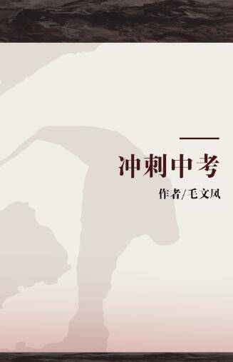 冲刺中考
