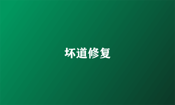 坏道修复