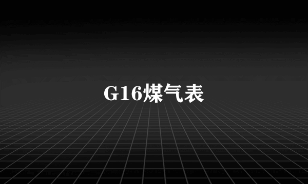 G16煤气表