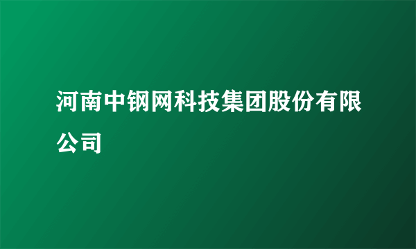 河南中钢网科技集团股份有限公司