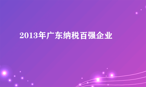 2013年广东纳税百强企业