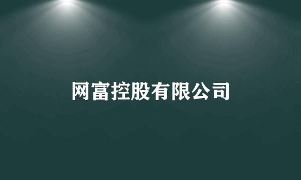 网富控股有限公司
