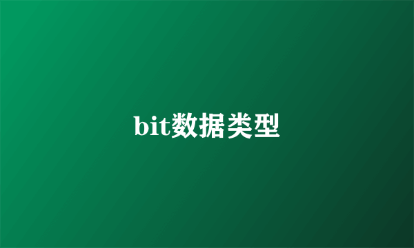 bit数据类型