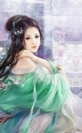 岳银瓶传