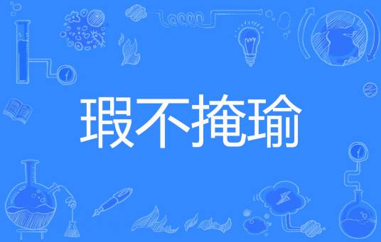 瑕不掩瑜（紫芋著网络小说）