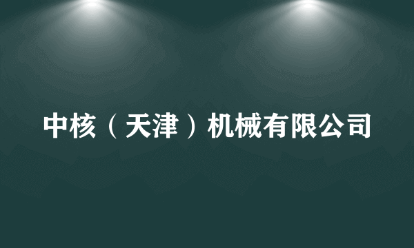 中核（天津）机械有限公司