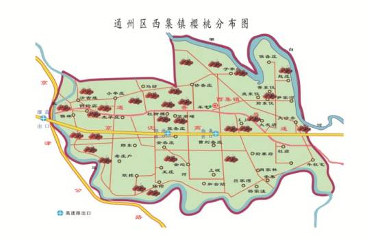 西集大樱桃