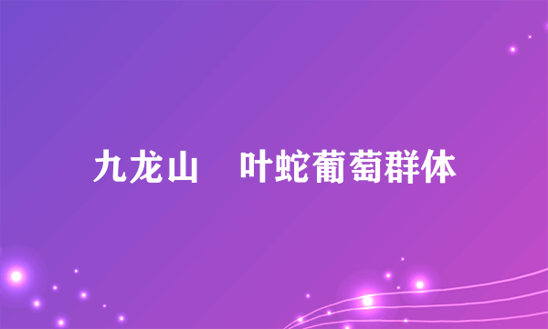 九龙山葎叶蛇葡萄群体