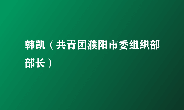 韩凯（共青团濮阳市委组织部部长）