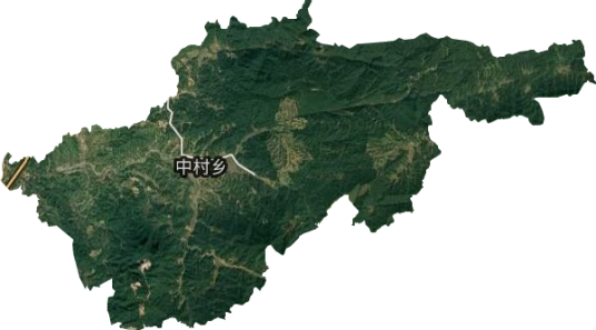 中村乡（江西省会昌县下辖乡）