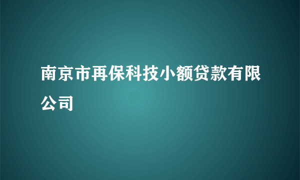 南京市再保科技小额贷款有限公司