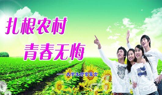 大学生村官（选聘高校毕业生到村任职）