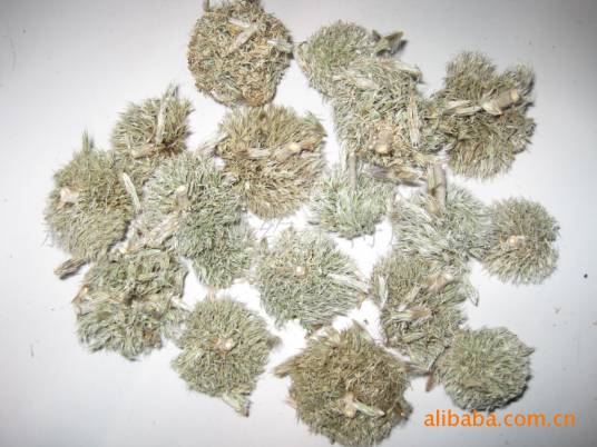 鸡脚刺（中药材）