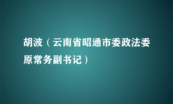 胡波（云南省昭通市委政法委原常务副书记）