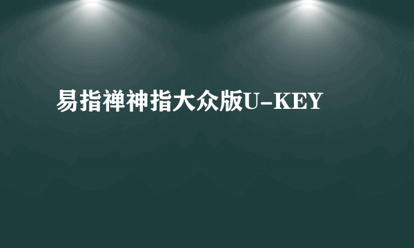 易指禅神指大众版U-KEY