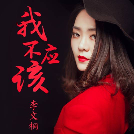 我不应该（李文桐演唱歌曲）