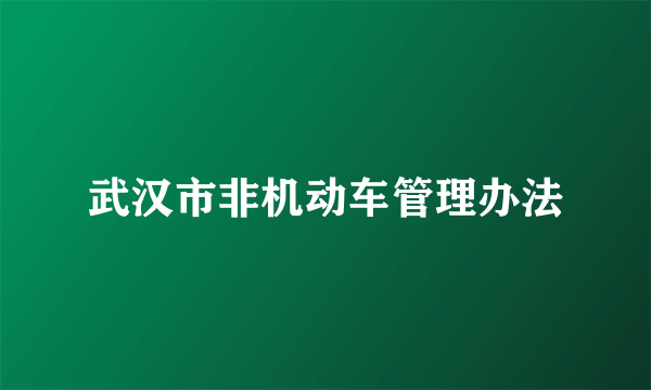 武汉市非机动车管理办法