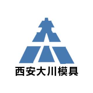 西安大川精密模具有限公司