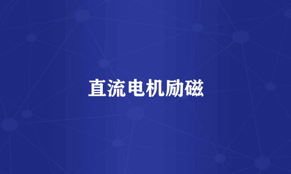直流电机励磁