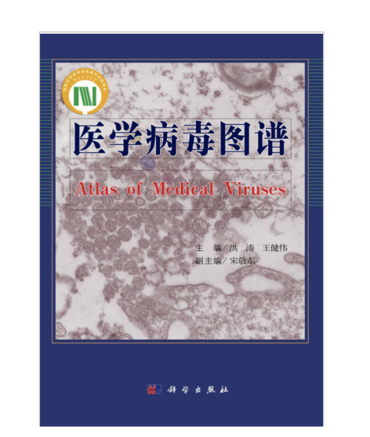 医学病毒图谱