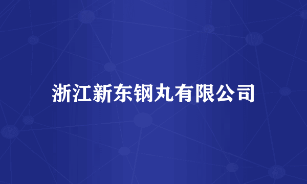 浙江新东钢丸有限公司