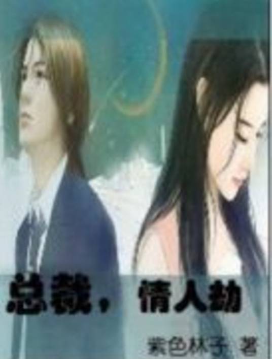 总裁情人劫