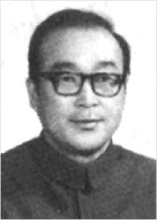 杨平（作家协会副主席）