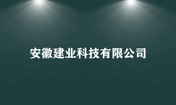安徽建业科技有限公司