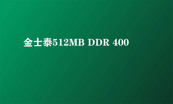 金士泰512MB DDR 400
