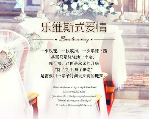 乐维斯式爱情