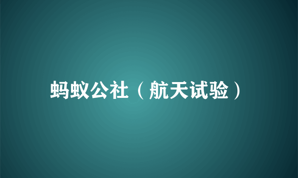 蚂蚁公社（航天试验）