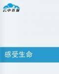 感受生命（小说）