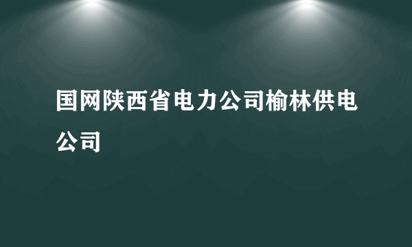 国网陕西省电力公司榆林供电公司