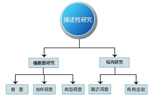 描述性研究
