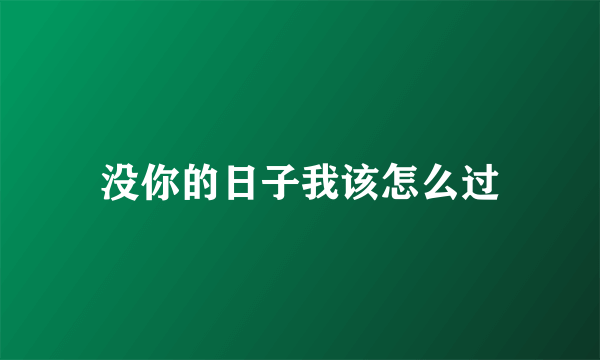 没你的日子我该怎么过