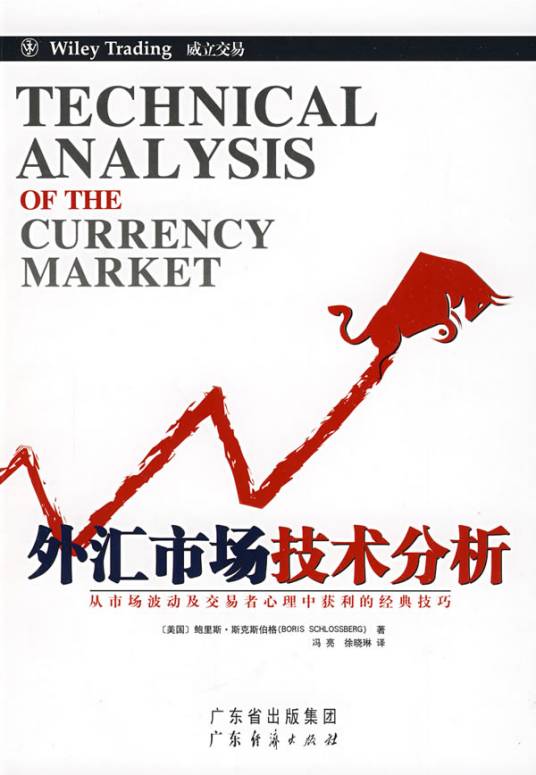 外汇市场技术分析（2009年广东经济出版社出版的图书）