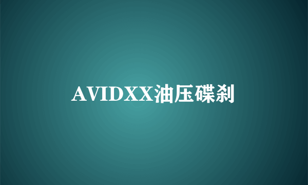 AVIDXX油压碟刹