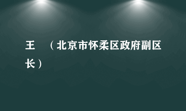 王弢（北京市怀柔区政府副区长）