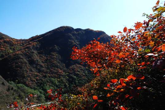 幽岚山