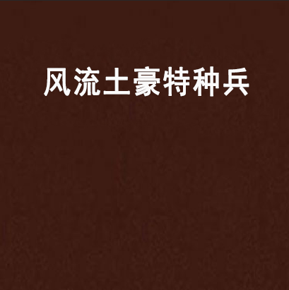 风流土豪特种兵