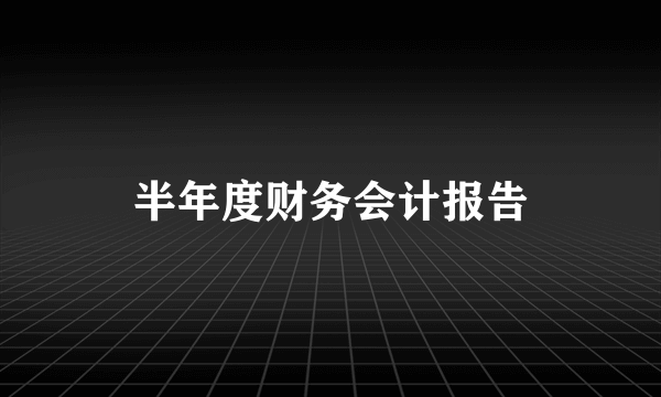 半年度财务会计报告