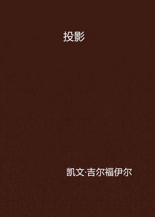 投影（凯文·吉尔福伊尔著小说）
