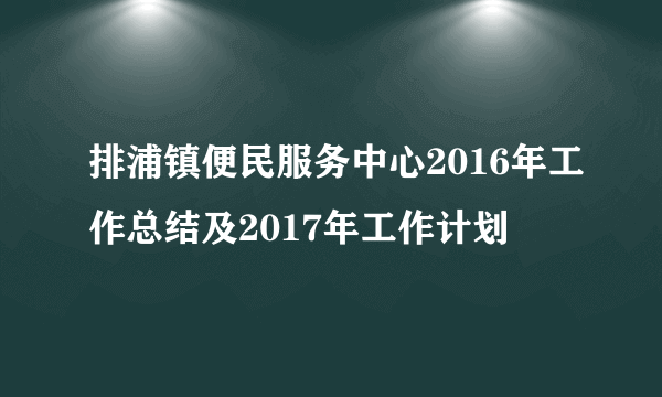 排浦镇便民服务中心2016年工作总结及2017年工作计划