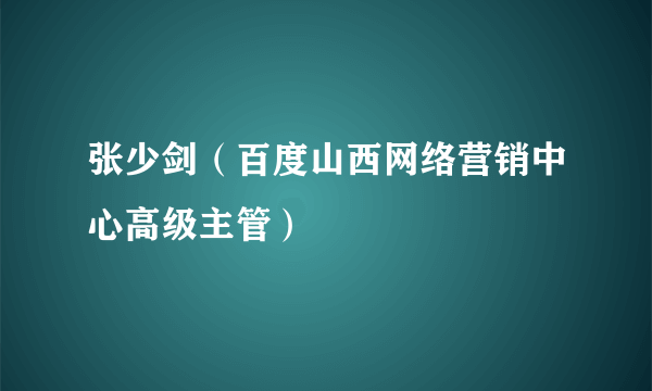张少剑（百度山西网络营销中心高级主管）