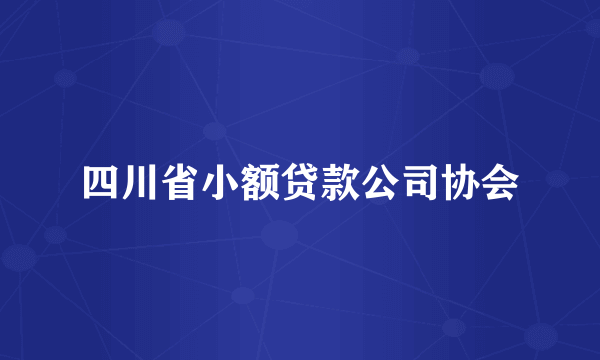 四川省小额贷款公司协会