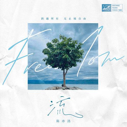 流（2021年陈亦洺演唱的歌曲）