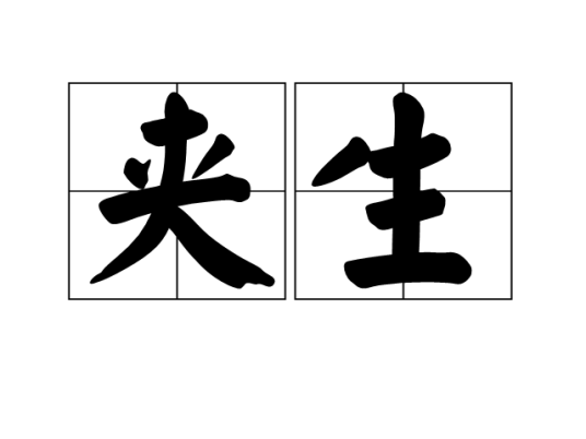 夹生