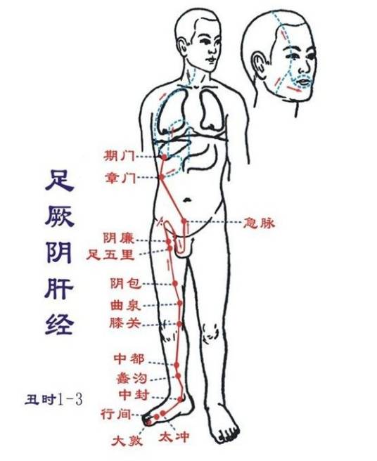 虚损
