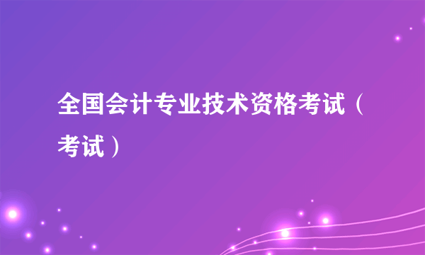 全国会计专业技术资格考试（考试）