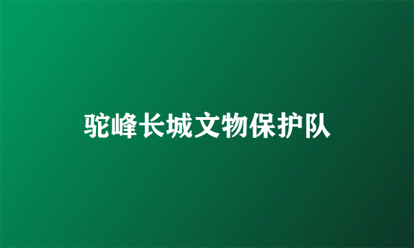 驼峰长城文物保护队